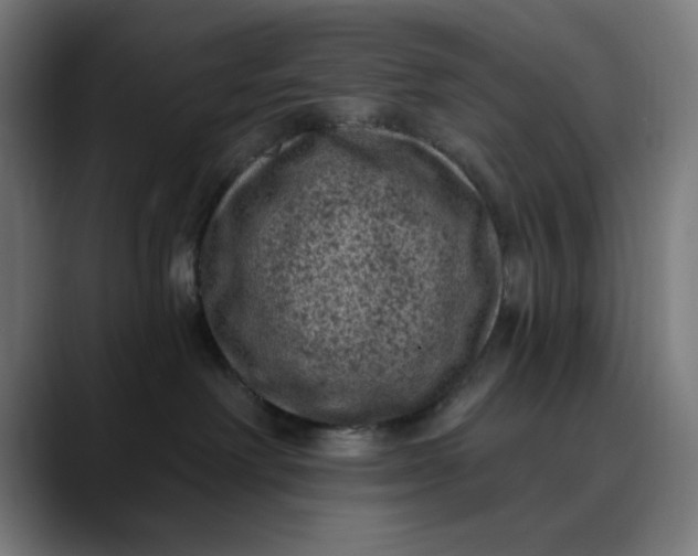 X0000089700238200707121400