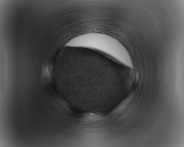 X0000089700239200707121400