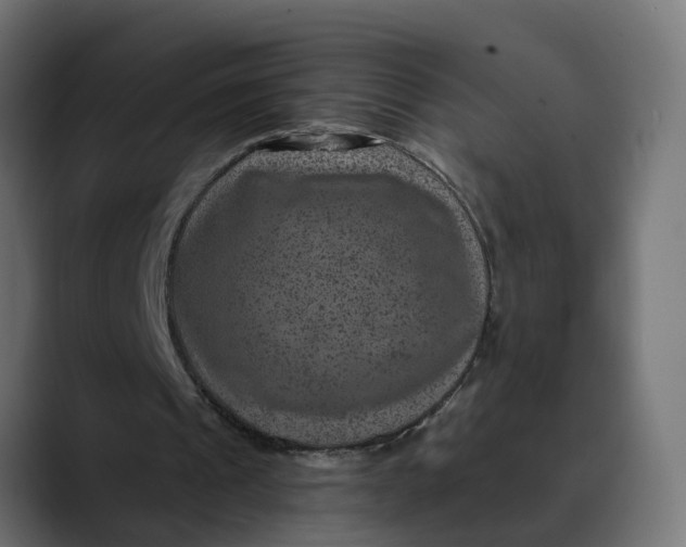 X0000089700241200707121359