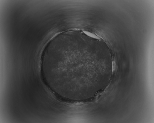 X0000089700243200707121359