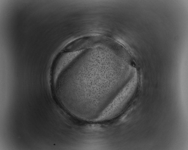 X0000089700244200707121359