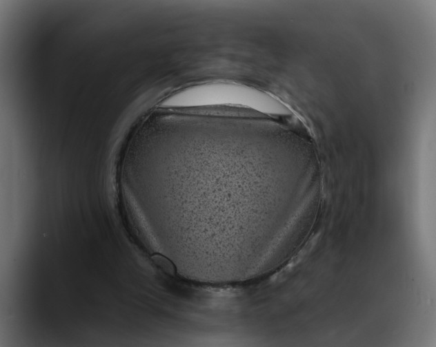 X0000089700245200707121359