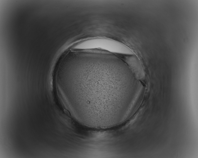 X0000089700246200707121359