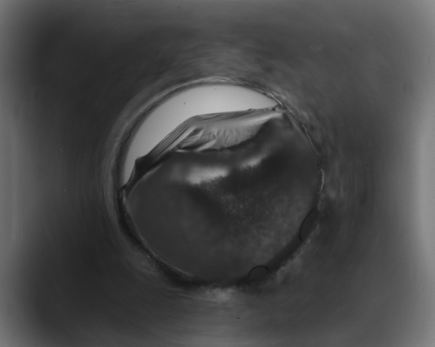 X0000089700247200707121359