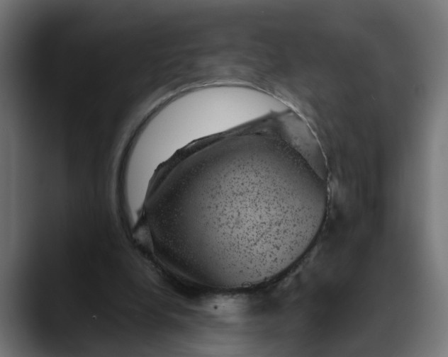 X0000089700248200707121359