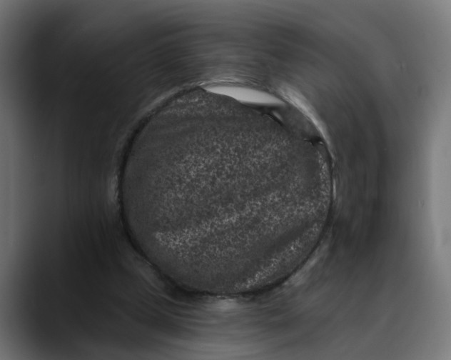 X0000089700249200707121359