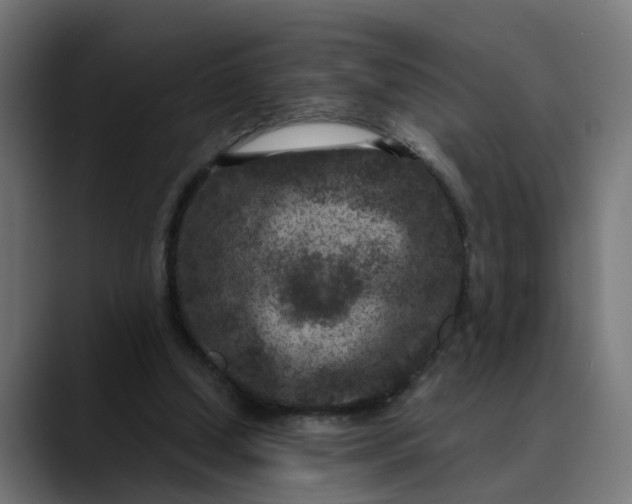 X0000089700250200707121359