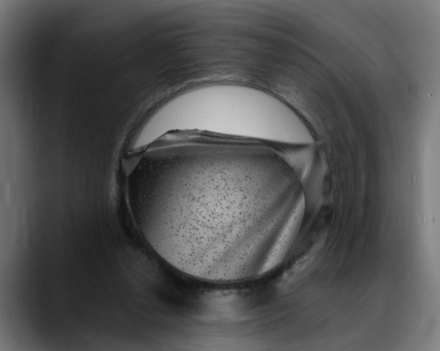 X0000089700252200707121359