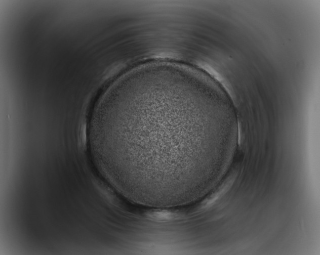 X0000089700253200707121359