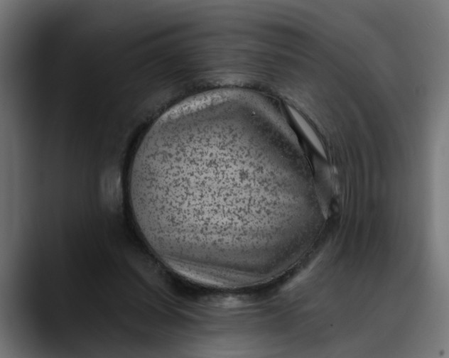 X0000089700254200707121359