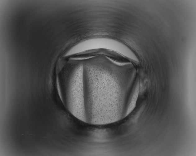 X0000089700256200707121359