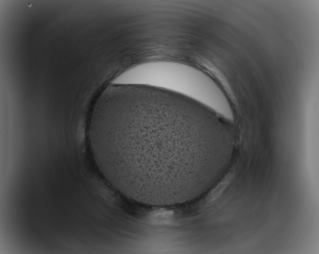 X0000089700257200707121359