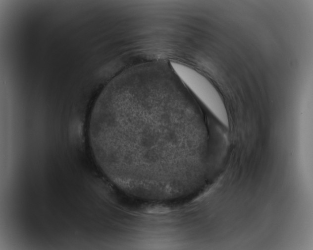 X0000089700258200707121359