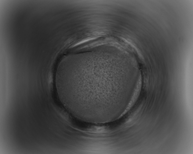 X0000089700260200707121359