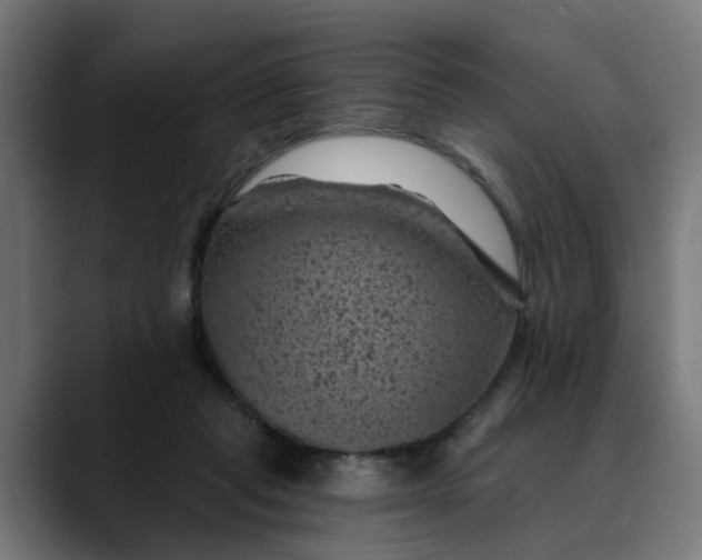 X0000089700261200707121359