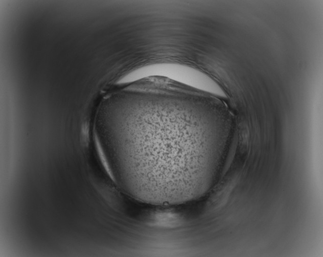 X0000089700262200707121359