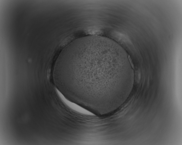 X0000089700263200707121359