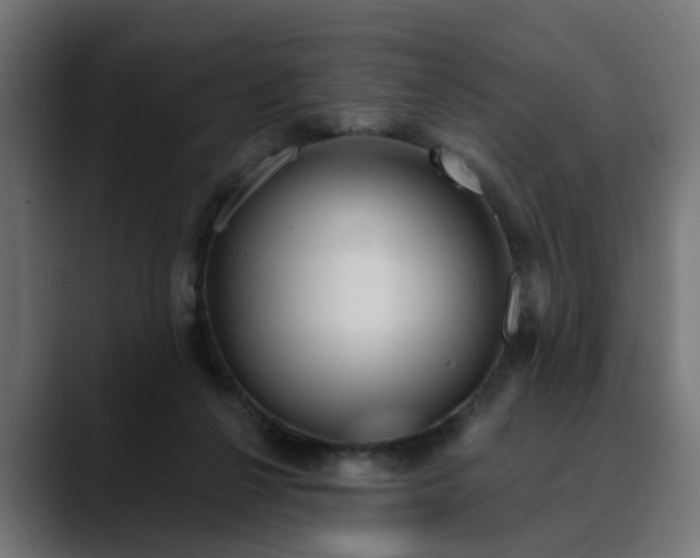 X0000089700264200707121359