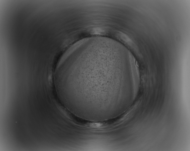 X0000089700265200707121359