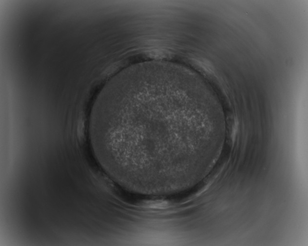 X0000089700266200707121359