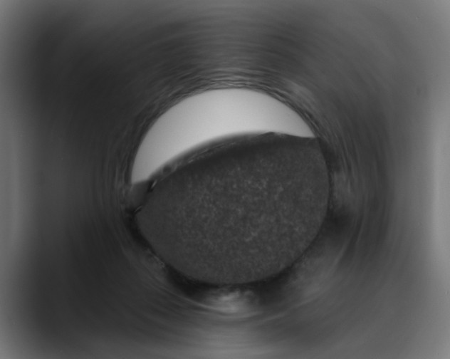 X0000089700267200707121359