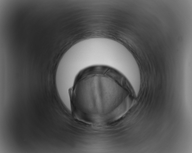 X0000089700268200707121359