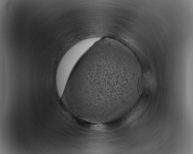 X0000089700269200707121359