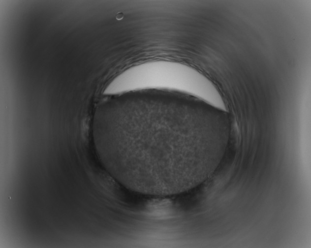 X0000089700271200707121359