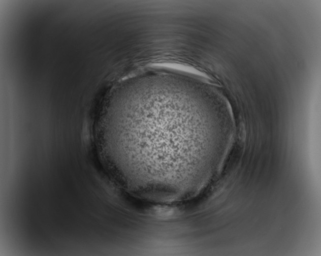 X0000089700272200707121359