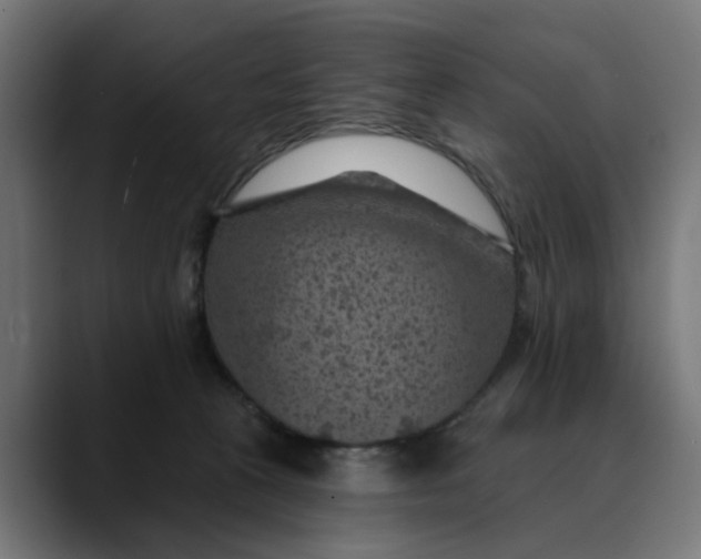 X0000089700273200707121359