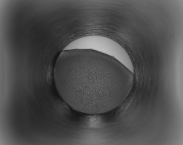 X0000089700275200707121359