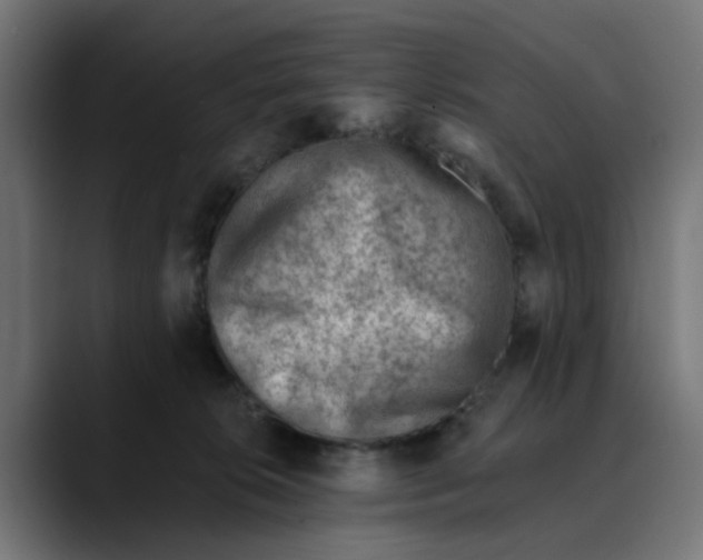 X0000089700276200707121359