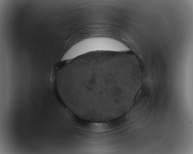 X0000089700277200707121359