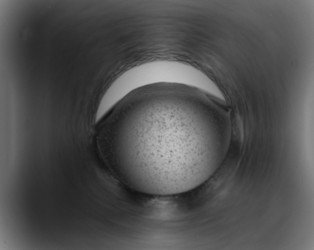 X0000089700280200707121359