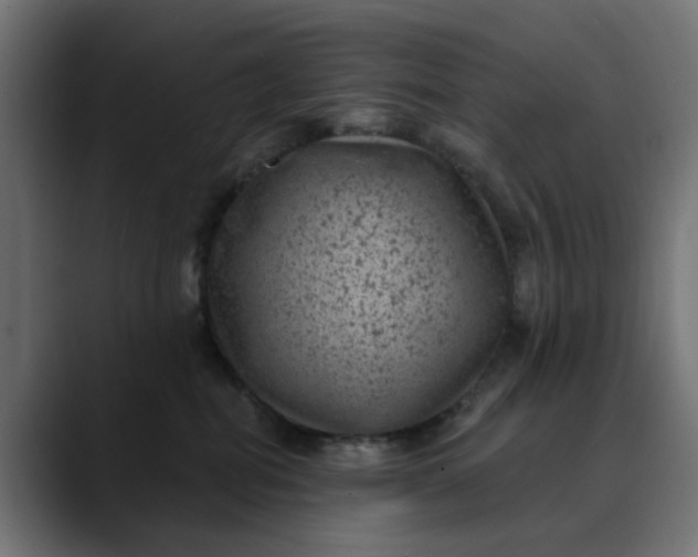 X0000089700282200707121359