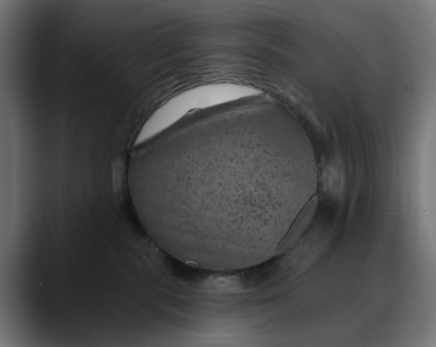 X0000089700283200707121359