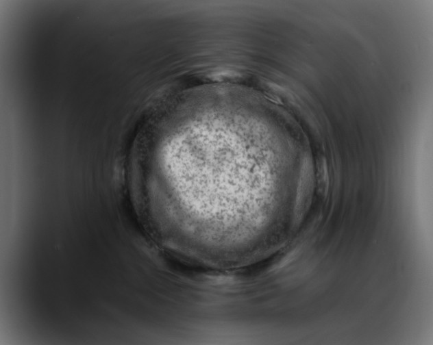 X0000089700284200707121400