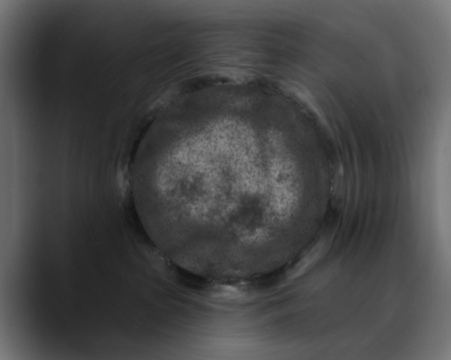 X0000089700285200707121400