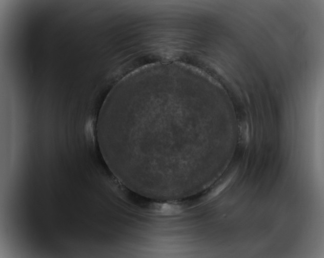 X0000089700286200707121400