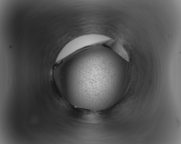 X0000089700288200707121400