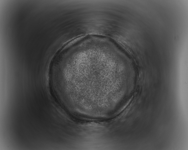 X0000089700290200707121359