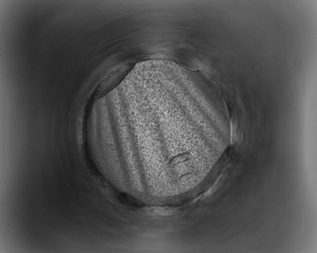 X0000089700291200707121359