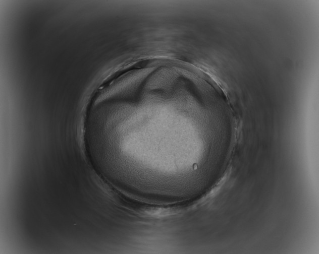 X0000089700293200707121359