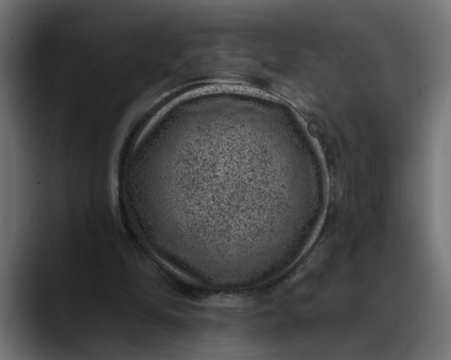 X0000089700294200707121359