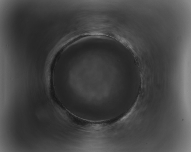 X0000089700295200707121359