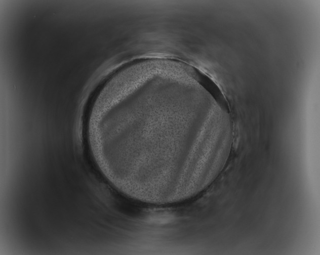 X0000089700296200707121359