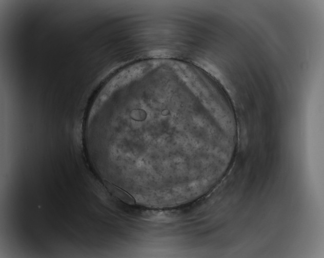 X0000089700297200707121359