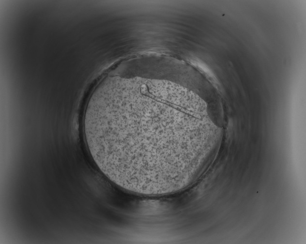 X0000089700298200707121359