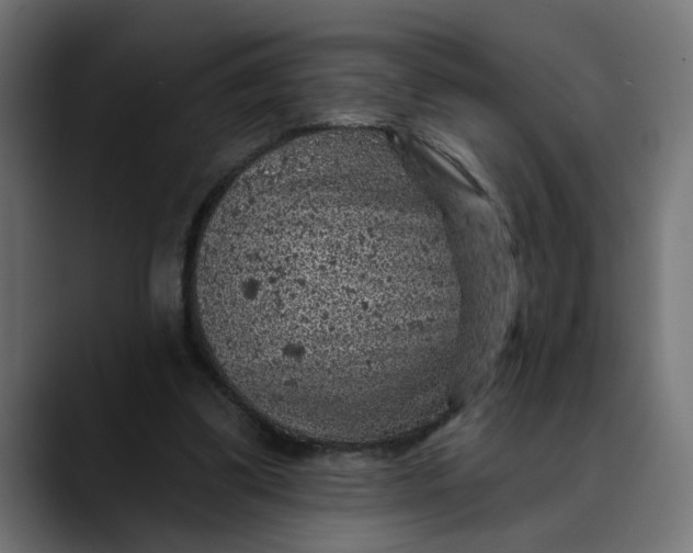 X0000089700299200707121359