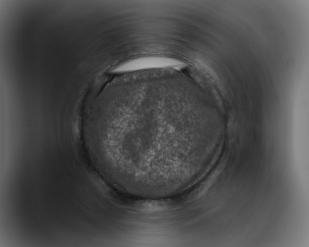 X0000089700305200707121359